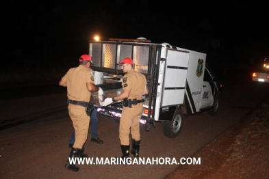 foto de Motorista de 80 anos morre esmagado pelo próprio caminhão na PR-323 em DR Camargo