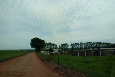 foto de Usina de compostagem de resíduos orgânicos industriais seria responsável pelo mal cheiro em Maringá