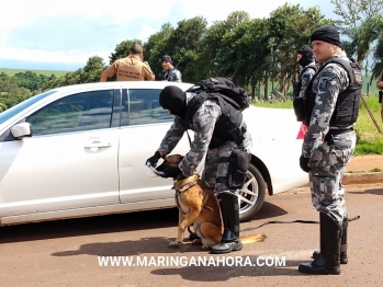 foto de Após perseguição, veículo roubado em Cianorte é recuperado pela PM em Paiçandu