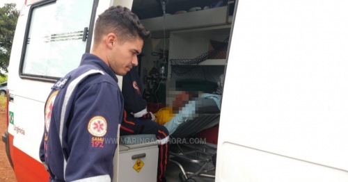 Idoso é atacado por enxame de abelhas na Estrada Serrinha em Paiçandu