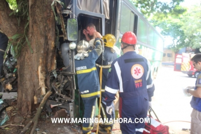 foto de Ônibus adesivado com logo da chapecoense sofre acidente em Maringá-PR