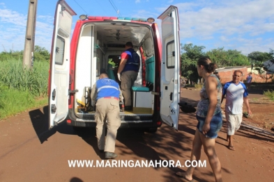 foto de Duas crianças ficaram feridas após queda de bicicleta no Parque Tarumã em Maringá