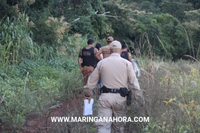 foto de Corpo é encontrado carbonizado dentro de carro em estrada rural entre Marialva e Mandaguari