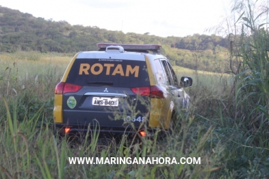 foto de Corpo é encontrado carbonizado dentro de carro em estrada rural entre Marialva e Mandaguari