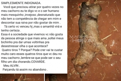 foto de Cachorro foi morto a tiros, diz moradora de Paiçandu em rede social