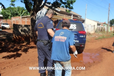 foto de Padrasto é preso acusado de esfaquear a enteada no Jardim das Torres em Sarandi