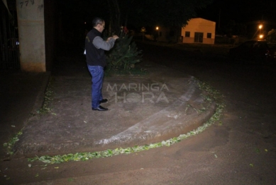 foto de Travesti morre ao ser atropelada por caminhão no Jardim Bela Vista em Sarandi