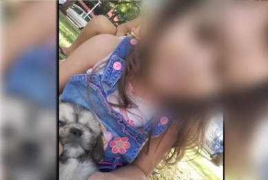 foto de Ladrão invade casa em Maringá e rouba filhote de Shih Tzu 