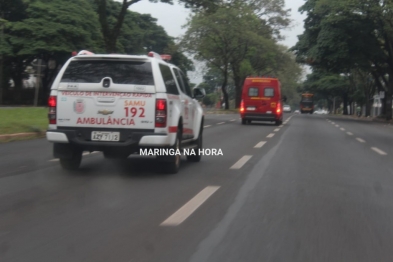 foto de Motorista bate em árvore e fica gravemente ferido em Maringá