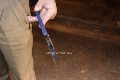 foto de O melhor amigo: cão entra em viatura policial para acompanhar o dona presa