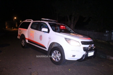 foto de O melhor amigo: cão entra em viatura policial para acompanhar o dona presa