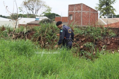 foto de Guarda Municipal encontra mais de meio quilo de crack em terreno baldio em Sarandi