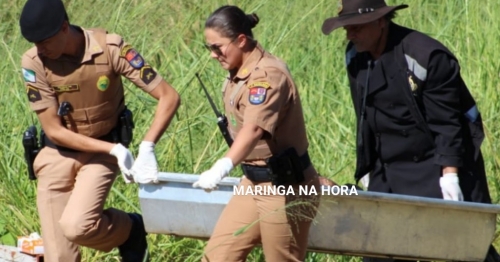 Encontro macabro em Maringá / Crime com requintes de crueldade