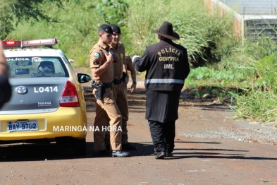 foto de Encontro macabro em Maringá / Crime com requintes de crueldade