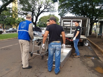 foto de Idosa de 71 anos morre após ser atingida por ônibus do transporte coletivo em Maringá