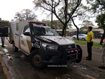 foto de Idosa de 71 anos morre após ser atingida por ônibus do transporte coletivo em Maringá