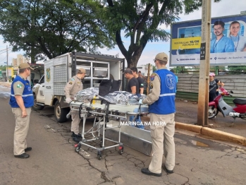 foto de Idosa de 71 anos morre após ser atingida por ônibus do transporte coletivo em Maringá