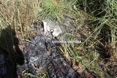 foto de Polícia identifica homem encontrado carbonizado em Maringá