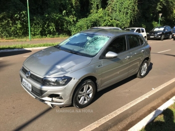 foto de Haitiano de 35 anos é entubado após ser atropelado por carro em Maringá 