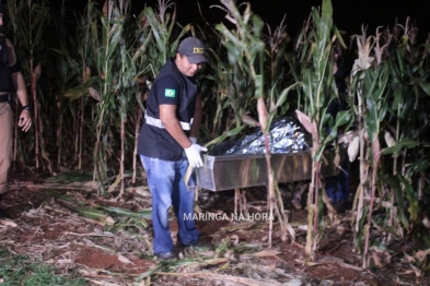 foto de Assaltantes morrem em confronto com a Polícia Militar na Zona Rural de Sarandi