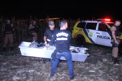 foto de Assaltantes morrem em confronto com a Polícia Militar na Zona Rural de Sarandi