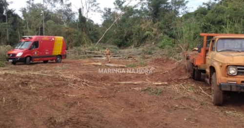 Trabalhador morre após ser atingido por galho de árvore na cabeça em Mandaguaçu