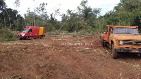 foto de Trabalhador morre após ser atingido por galho de árvore na cabeça em Mandaguaçu