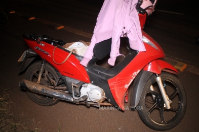 foto de Cachorro na marginal provoca queda de motociclista entre Paiçandu e Maringá