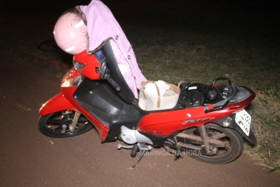 foto de Cachorro na marginal provoca queda de motociclista entre Paiçandu e Maringá