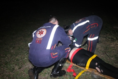 foto de Cachorro na marginal provoca queda de motociclista entre Paiçandu e Maringá