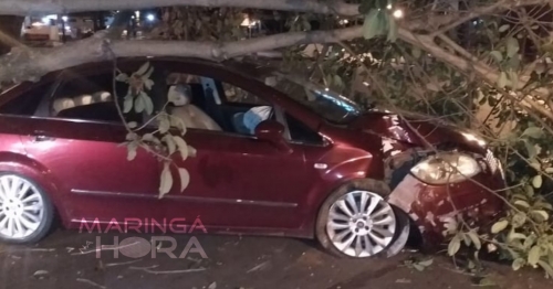 Motorista perde o controle arranca árvore e vai preso por embriaguez em Maringá