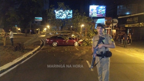 foto de Motorista perde o controle arranca árvore e vai preso por embriaguez em Maringá