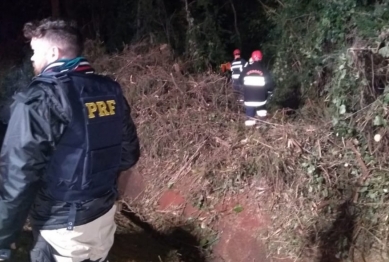 foto de Crianças de 4 e 6 anos sofrem traumatismo craniano após capotamento em Marialva