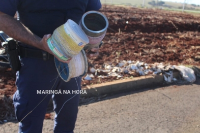 foto de Força tarefa realiza operação de combate ao cerol e à linha chilena em Maringá