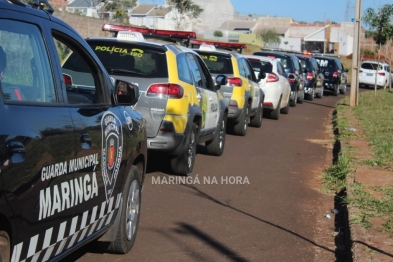 foto de Força tarefa realiza operação de combate ao cerol e à linha chilena em Maringá