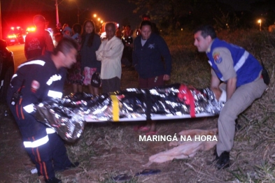 foto de Égua prenha de sete meses morre após ser atropelada por carro enquanto puxava carroça em Maringá