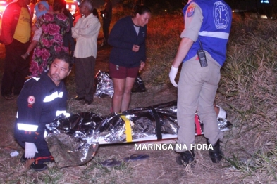 foto de Égua prenha de sete meses morre após ser atropelada por carro enquanto puxava carroça em Maringá