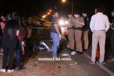 foto de Égua prenha de sete meses morre após ser atropelada por carro enquanto puxava carroça em Maringá