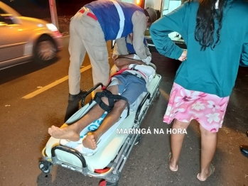 foto de Égua prenha de sete meses morre após ser atropelada por carro enquanto puxava carroça em Maringá