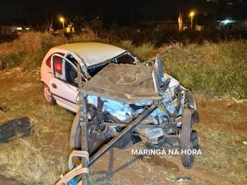 foto de Égua prenha de sete meses morre após ser atropelada por carro enquanto puxava carroça em Maringá