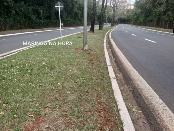 foto de Motociclista morre após ser fechado e arremessado contra poste em Maringá