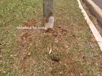 foto de Motociclista morre após ser fechado e arremessado contra poste em Maringá