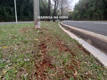 foto de Motociclista morre após ser fechado e arremessado contra poste em Maringá