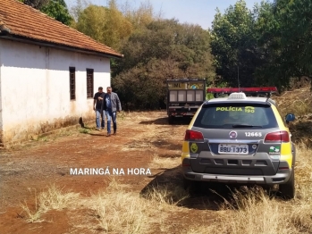 foto de Execução - Mulher morta a tiros na região de Maringá 