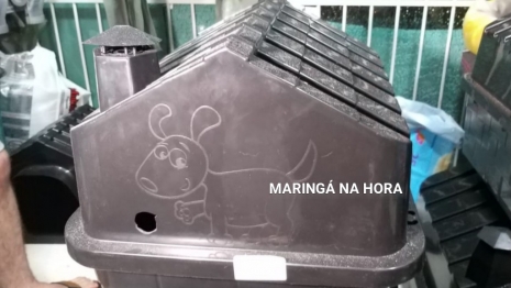 foto de Pet Shop é alvo de disparos de arma de fogo em Maringá, no Conjunto Ney Braga