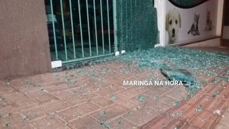 foto de Pet Shop é alvo de disparos de arma de fogo em Maringá, no Conjunto Ney Braga