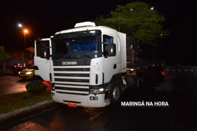 foto de Patrulheiros realizam a apreensão de mais de meia tonelada de maconha 