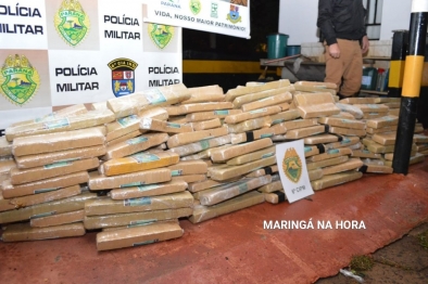 foto de Patrulheiros realizam a apreensão de mais de meia tonelada de maconha 