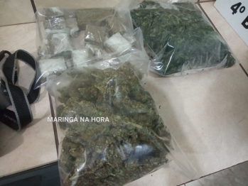 foto de PM descobre plantio de maconha em Maringá 