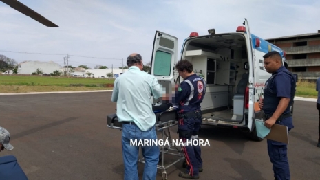 foto de Aluna é picada por escorpião amarelo em escola da região de Maringá 